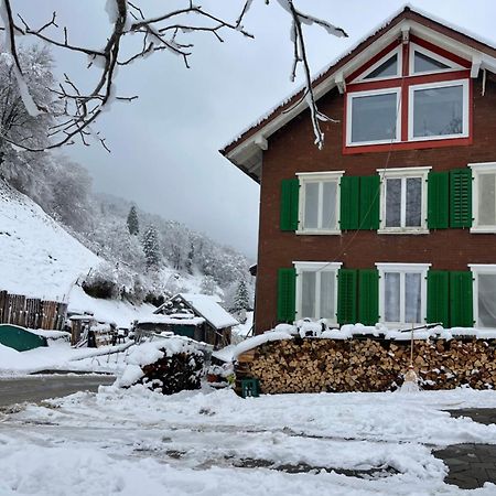 Old Farmhouse Loft Near Vaduz Sevelen Kültér fotó